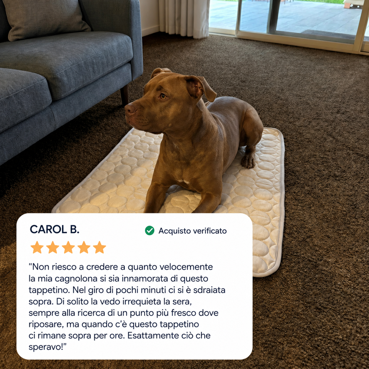Pawlab Tappetino Rinfrescante Cane e Gatto