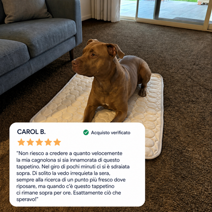 Pawlab Tappetino Rinfrescante Cane e Gatto