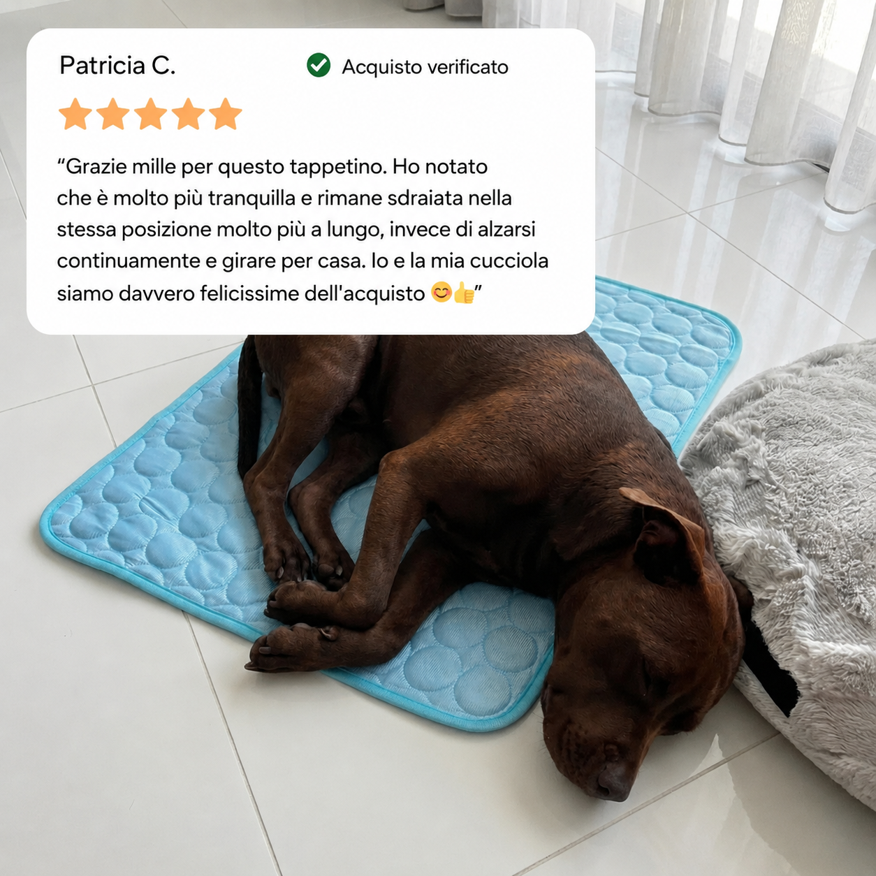 Pawlab Tappetino Rinfrescante Cane e Gatto